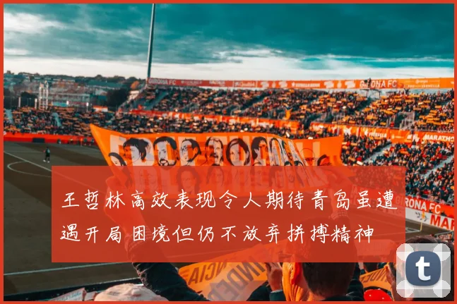 王哲林高效表现令人期待青岛虽遭遇开局困境但仍不放弃拼搏精神