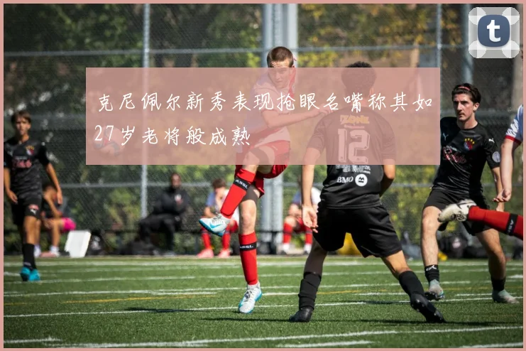 克尼佩尔新秀表现抢眼名嘴称其如27岁老将般成熟
