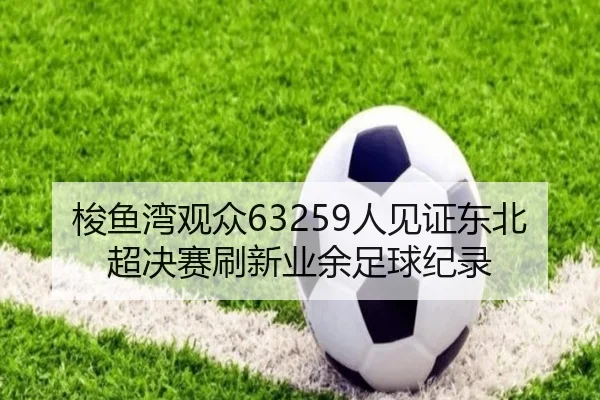 梭鱼湾观众63259人见证东北超决赛刷新业余足球纪录（eonsports）